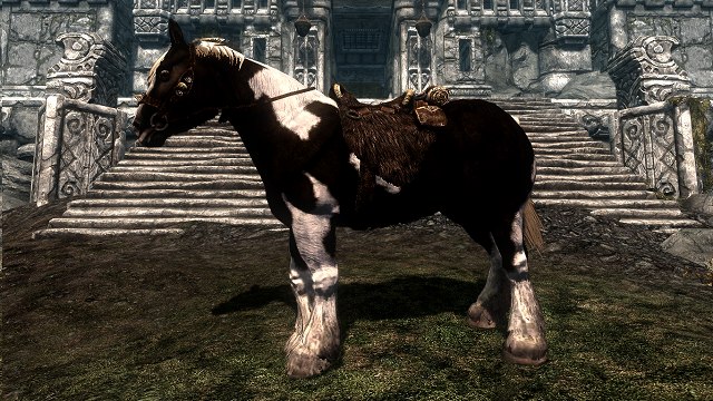 Gamedata 馬 Skyrimwikijp