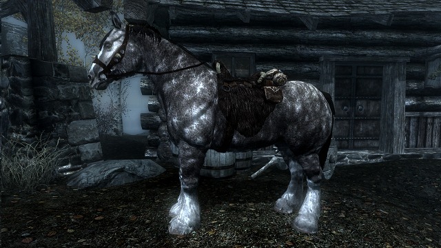 Gamedata 馬 Skyrimwikijp